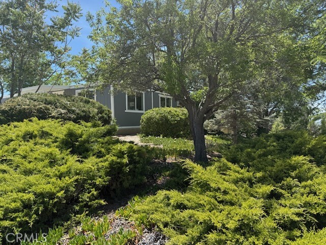 Detail Gallery Image 2 of 20 For 53651 Us Highway 371 #41,  Anza,  CA 92539 - 3 Beds | 2 Baths