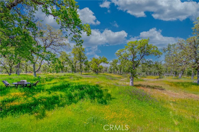 Detail Gallery Image 61 of 75 For 5873 Schilling, Coulterville,  CA 95311 - 2 Beds | 2 Baths