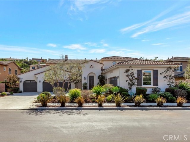29310 Paseo Palmar, San Juan Capistrano CA: https://media.crmls.org/medias/fe166773-781b-4fd8-89c7-05832695ea06.jpg