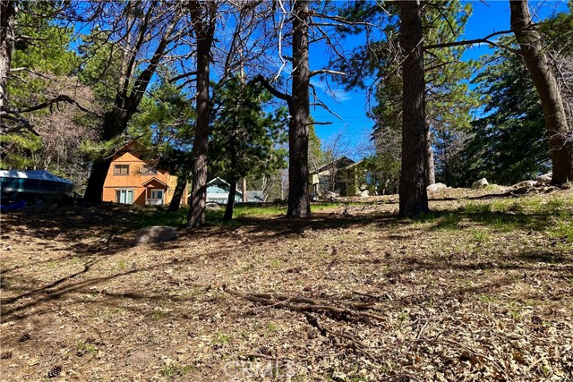 Detail Gallery Image 8 of 12 For 0 Lakeview Dr, Rimforest,  CA 92378 - – Beds | – Baths