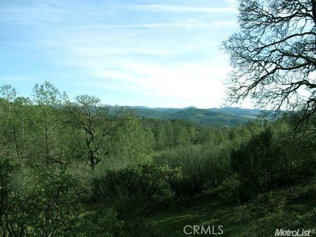 Detail Gallery Image 11 of 69 For 9018 Winding Way, Oregon House,  CA 95962 - – Beds | – Baths