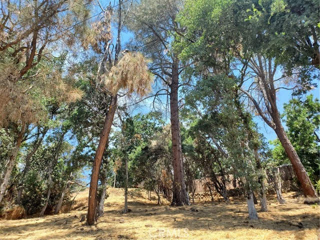 4668 W 40th Street, Clearlake, California 95422, ,Land,For Sale,4668 W 40th Street,CRLC23139114