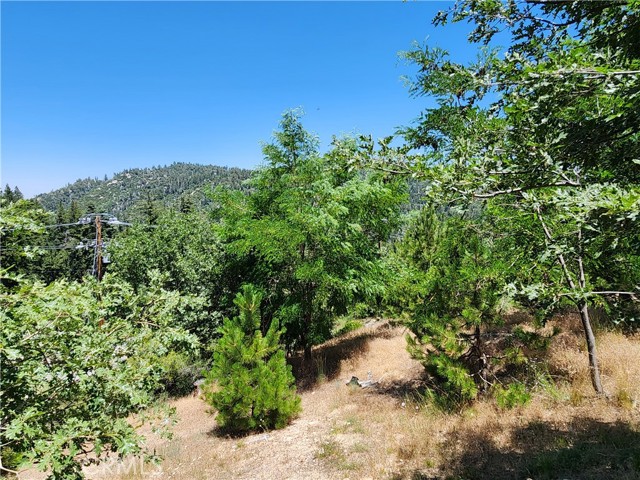 Detail Gallery Image 1 of 30 For 31912 Encina Way, Running Springs,  CA 92382 - – Beds | – Baths