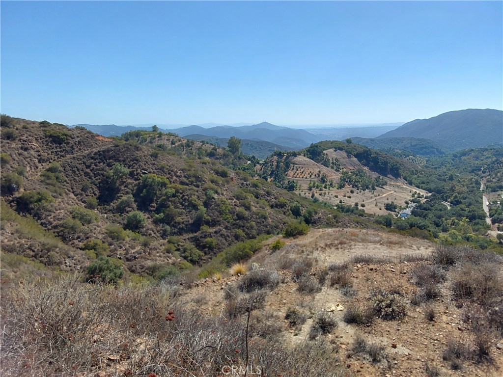 MLS #SW25229548 image #4