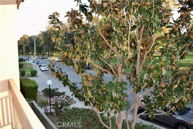 Detail Gallery Image 24 of 37 For 24525 W Trevino Dr #U2,  Valencia,  CA 91355 - 2 Beds | 2 Baths