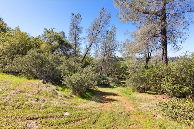 Detail Gallery Image 7 of 20 For 0 Louise, Oroville,  CA 95965 - – Beds | – Baths