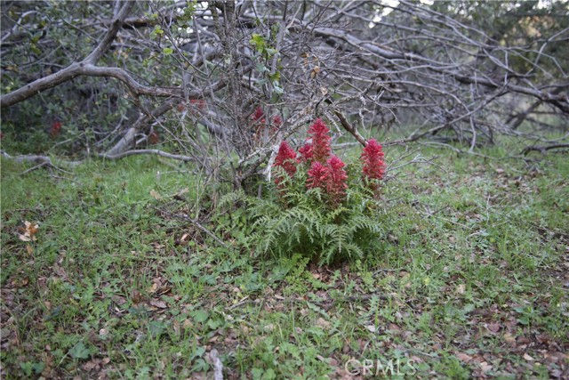Detail Gallery Image 14 of 14 For 18 Unassigned Usona Rd., Mariposa,  CA 95338 - – Beds | – Baths