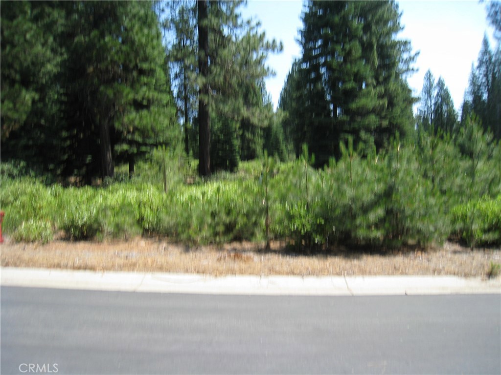 150 Long Leaf Pine Lane, Lake Almanor, CA 96137