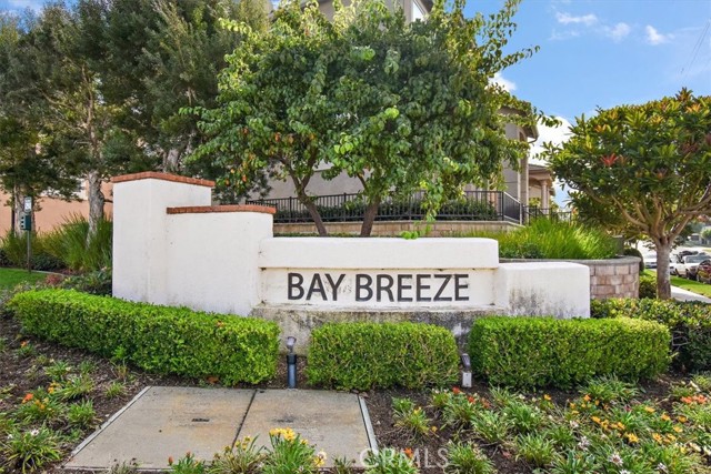Bay Breeze
