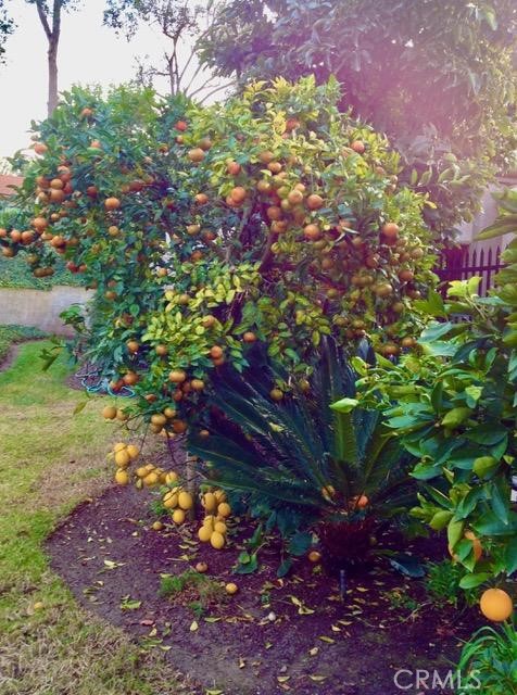 Detail Gallery Image 6 of 36 For 5384 W Paseo Del Lago a,  Laguna Woods,  CA 92637 - 2 Beds | 2 Baths