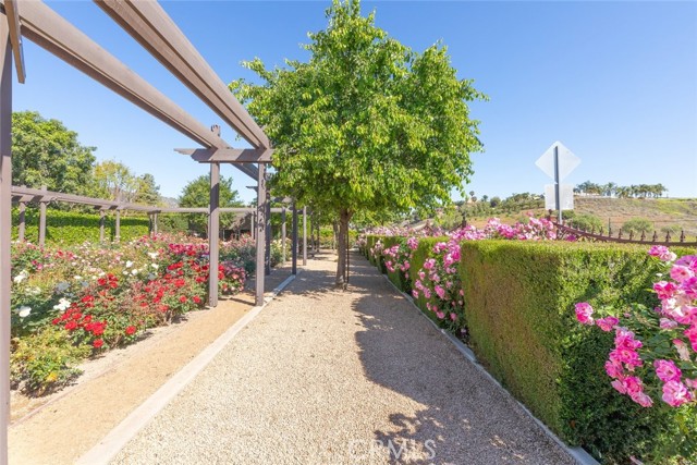 Detail Gallery Image 50 of 75 For 23965 Lawson Rd, Corona,  CA 92883 - 4 Beds | 3/1 Baths