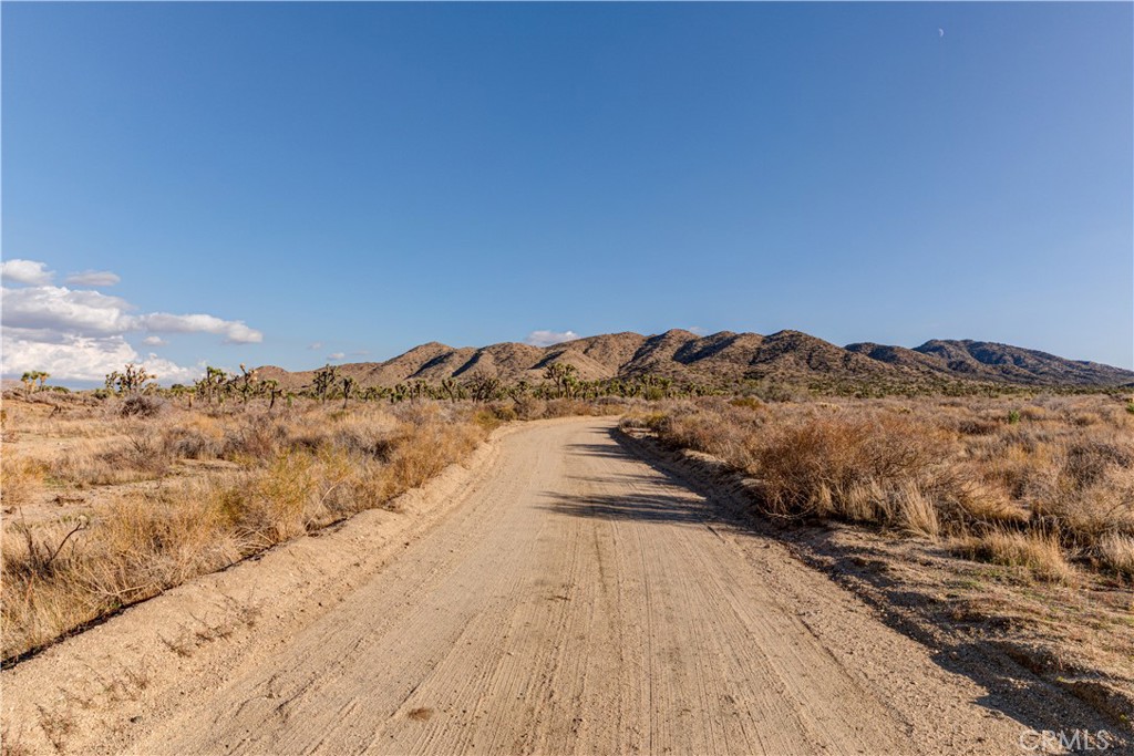 MLS #JT25229239 image #13