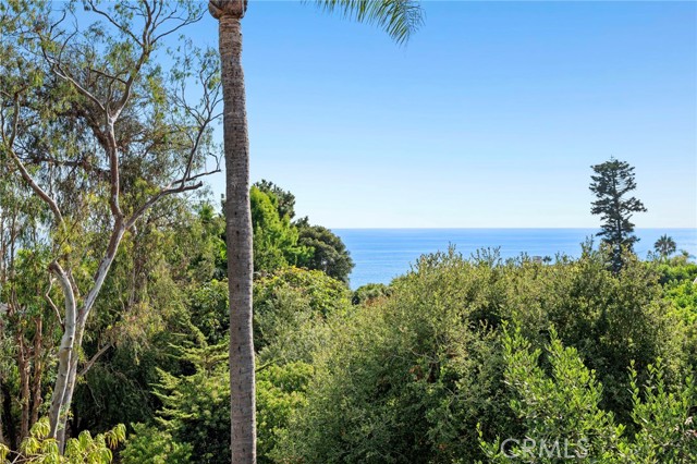 31402 Ocean View, Laguna Beach CA: https://media.crmls.org/medias/fe445885-4d6b-48c4-bf7a-ea7d79b68248.jpg