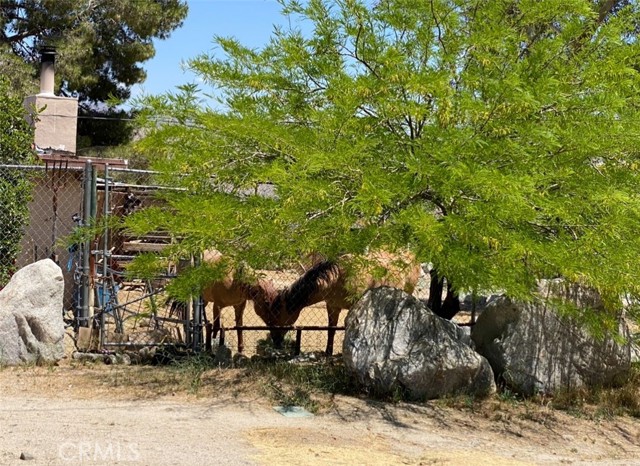 51371 Cheyenne Trail, Morongo Valley CA: https://media.crmls.org/medias/fe44ab18-39e2-45d7-98a2-40f7de34f865.jpg