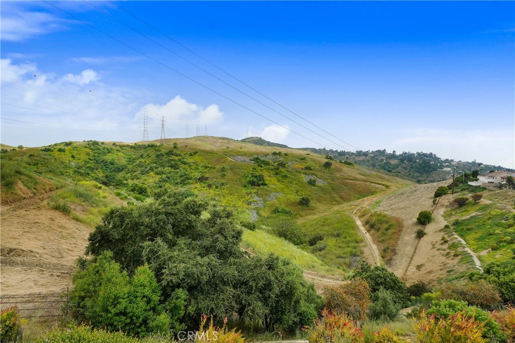 3357 Belle River Drive, Hacienda Heights, CA 91745