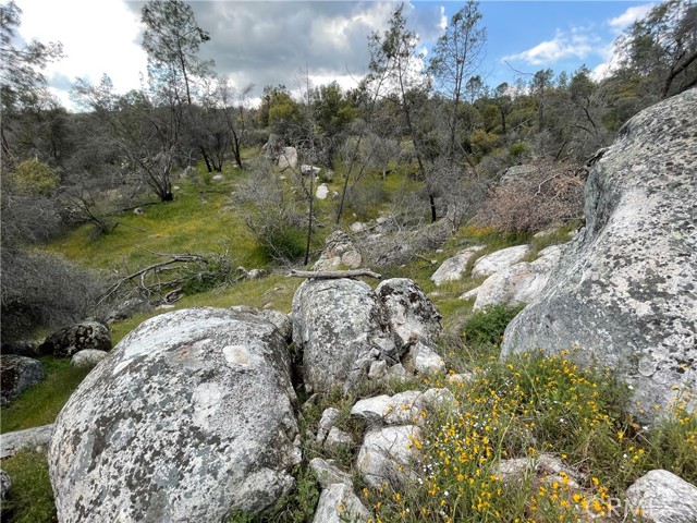 Detail Gallery Image 19 of 24 For 3786 Bronco Hollow Rd, Mariposa,  CA 95338 - – Beds | – Baths