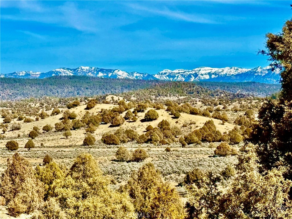 MLS #SB26116642 image #8