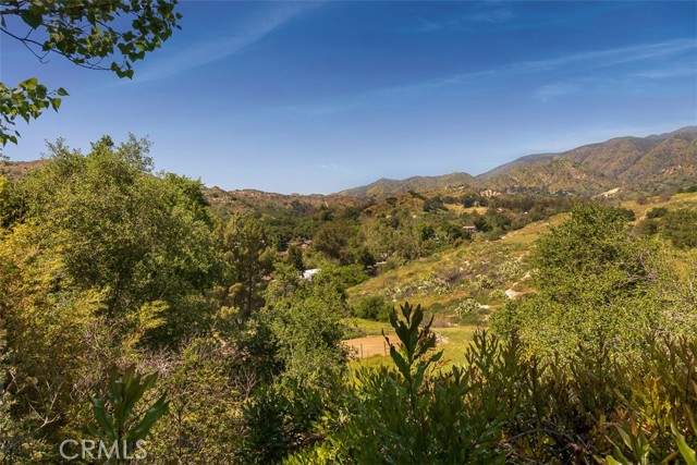 19041 Live Oak Canyon Road, Trabuco Canyon CA: https://media.crmls.org/medias/fe525ee2-778e-4308-964a-69ca0fe68ce1.jpg