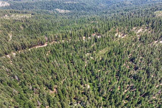 18727 Skyway, Stirling City CA: https://media.crmls.org/medias/fe533f8d-b5cf-49bc-8803-ace5e2037ef5.jpg