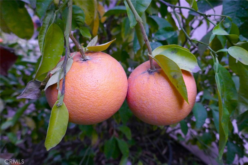 https://media.crmls.org/medias/fe57b186-623c-4713-8dff-aae0e1e617d9.jpg?preset=X-Large