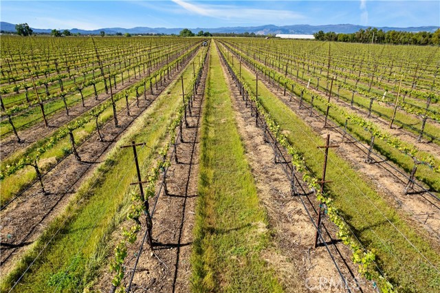 Detail Gallery Image 23 of 29 For 1650 Bell Hill Rd, Kelseyville,  CA 95451 - – Beds | – Baths