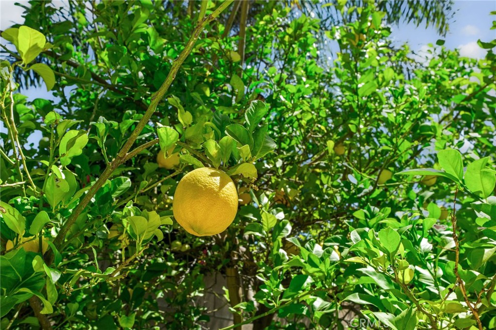 https://media.crmls.org/medias/fe5daf6e-5231-4219-a1af-7930b7038316.jpg?preset=X-Large