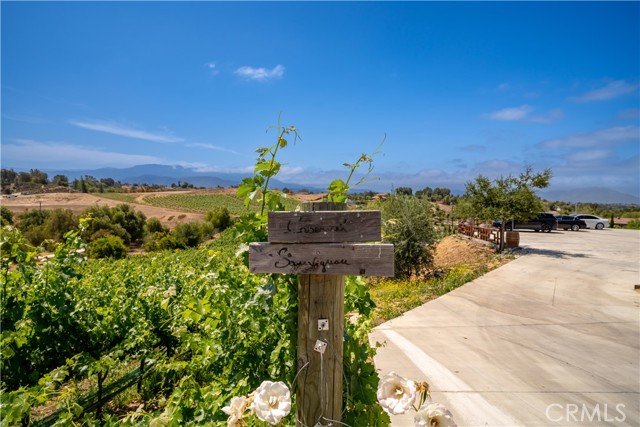 34150 Pauba Road, Temecula CA: https://media.crmls.org/medias/fe5f9a0e-9f1b-4c8c-87f4-573de9c2bf61.jpg