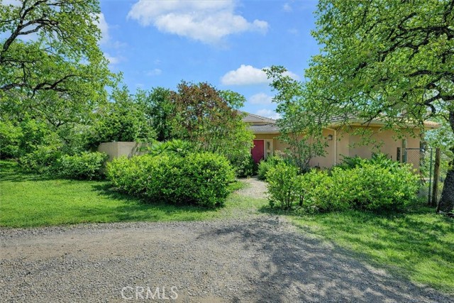 Front Image Thumbnail for CROR25183573