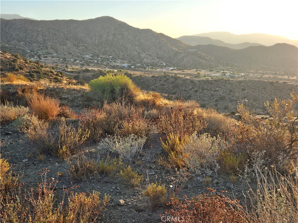 MLS #DW25180755 image #10