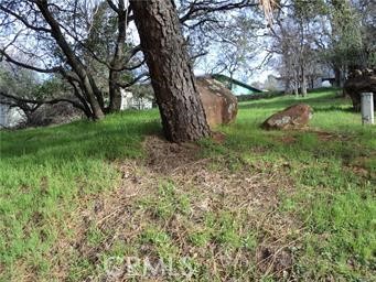0 Silver Leaf Drive, Oroville, CA, 95966 0 Silver Leaf Drive, Oroville, CA, 95966