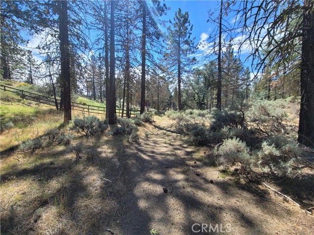 25701 Paramount Drive, Tehachapi, California 93561, ,Land,For Sale,25701 Paramount Drive,CRSR24047441