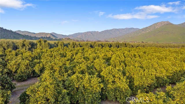 Detail Gallery Image 29 of 51 For 19400 398, Woodlake,  CA 93286 - – Beds | – Baths