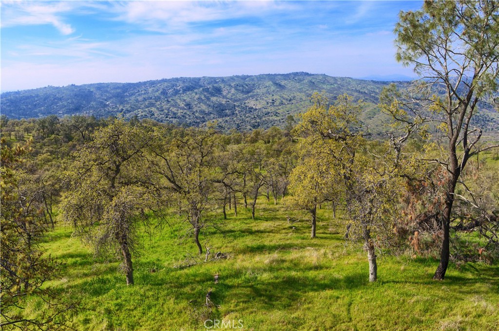 https://media.crmls.org/medias/fe7cea4b-33f9-4127-bc2c-d1b5ea73b32f.jpg?preset=X-Large