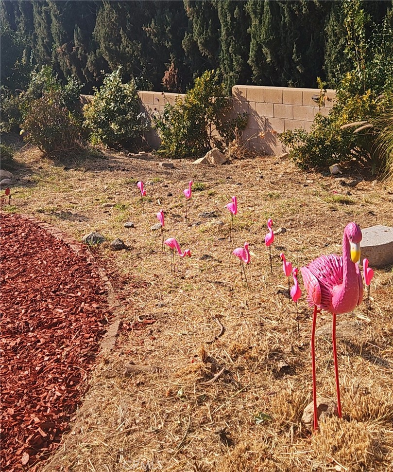 MLS #SB25061078 image #41