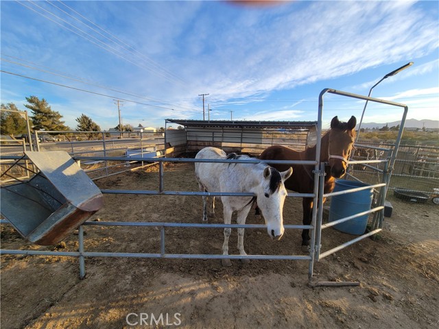 Detail Gallery Image 43 of 48 For 11106 Baldy Mesa Rd, Victorville,  CA 92392 - 3 Beds | 2 Baths