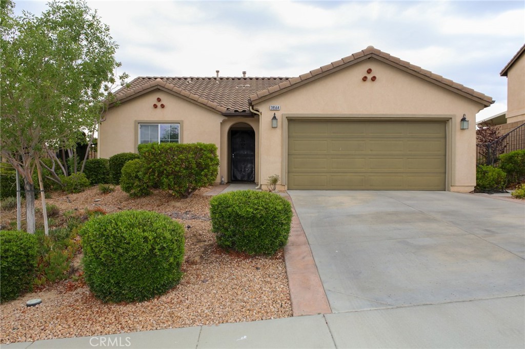 38564 Pallas Court
