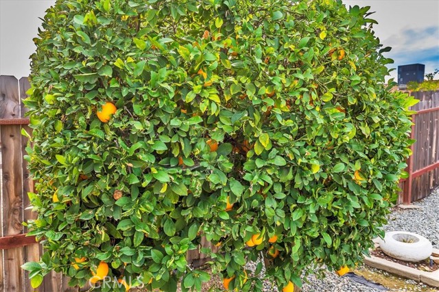 Detail Gallery Image 28 of 42 For 27177 Flagler St, Menifee,  CA 92586 - 2 Beds | 2 Baths