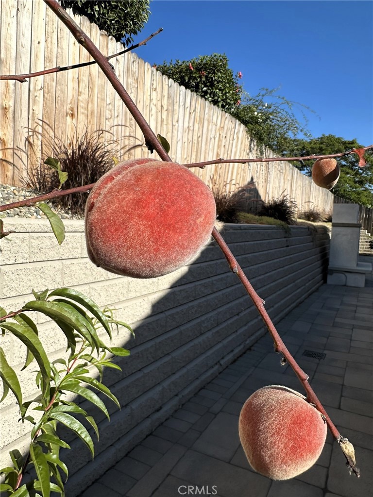 https://media.crmls.org/medias/fe98807b-44e9-420f-8ff2-a229b160f398.jpg?preset=X-Large