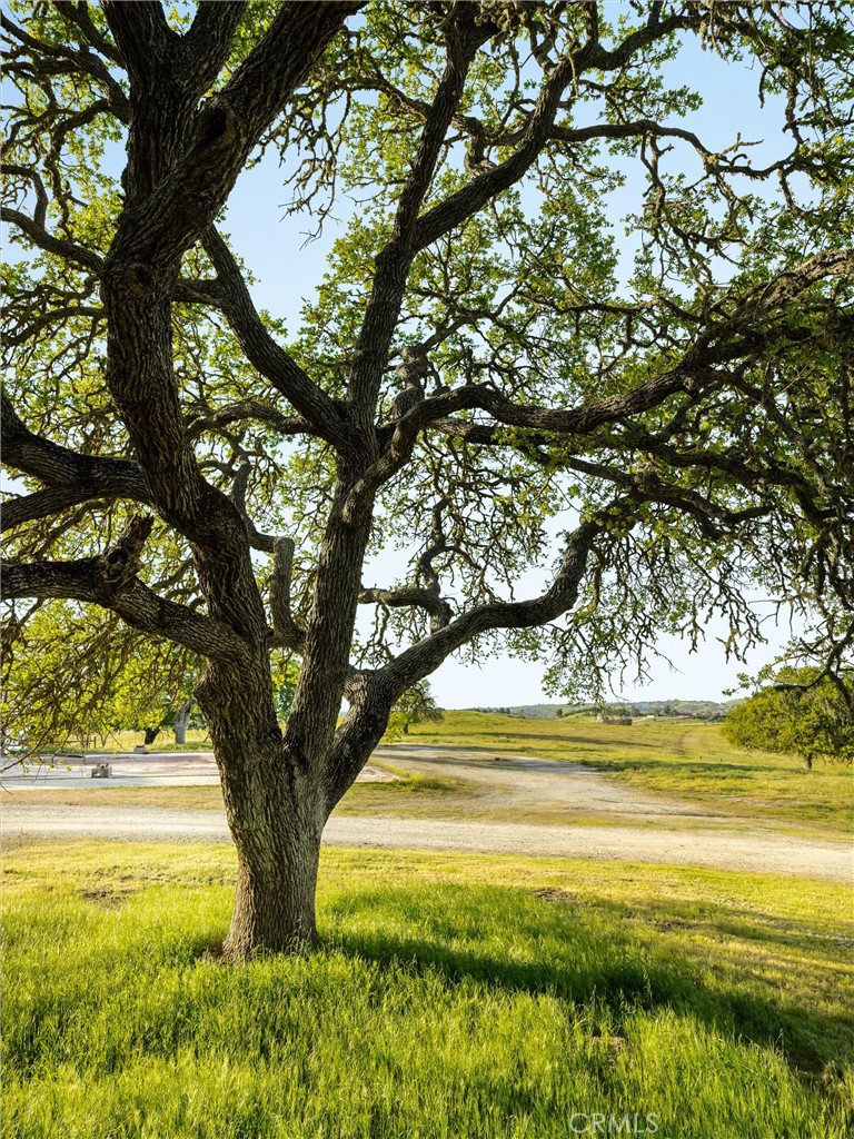 https://media.crmls.org/medias/fe9ec0e7-8fb8-4f5f-a945-e8b069fc804e.jpg?preset=X-Large