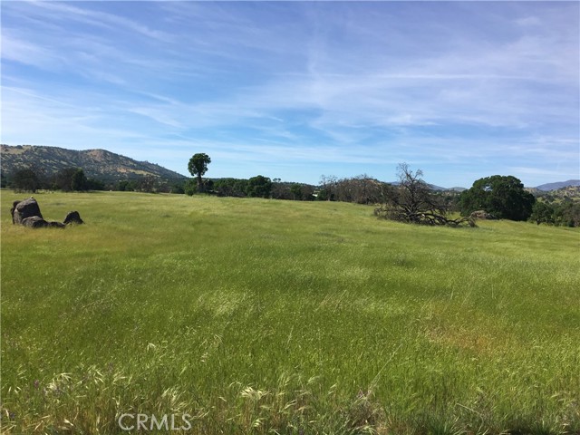 Detail Gallery Image 18 of 23 For 2187 Tinkers Penny, Catheys Valley,  CA 95306 - – Beds | – Baths