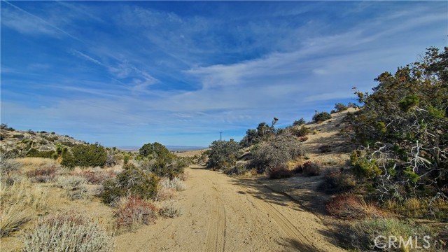 MLS #SR25242278 image #19