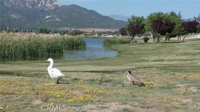 Image 15 of 17 For 0 Lake Canyon