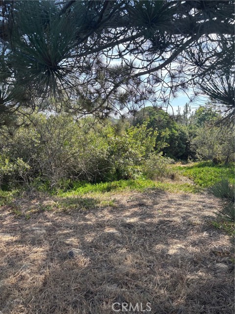0 Smith Avenue, Oceano CA: https://media.crmls.org/medias/feaf39c8-8d00-409b-af2e-4e50e5db70fa.jpg