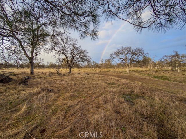 Detail Gallery Image 12 of 16 For 0 Grindstone, Chico,  CA 95973 - – Beds | – Baths