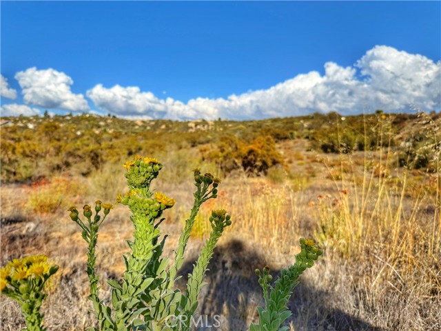 Detail Gallery Image 22 of 26 For 0 Rolling Hills, Aguanga,  CA 92539 - – Beds | – Baths