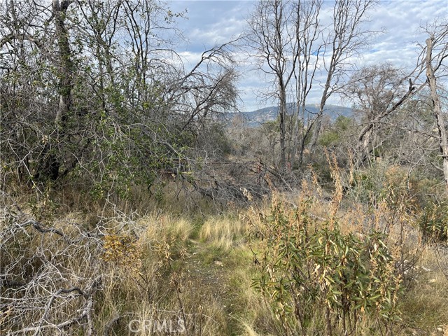Detail Gallery Image 5 of 69 For 4934 Guadalupe Fire, Catheys Valley,  CA 95306 - – Beds | – Baths