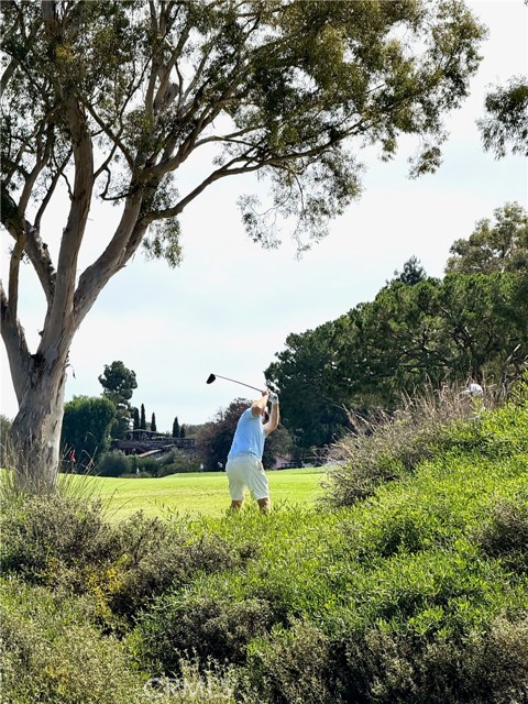 Detail Gallery Image 35 of 35 For 30411 Mirador Court, Laguna Niguel,  CA 92677 - 4 Beds | 4 Baths