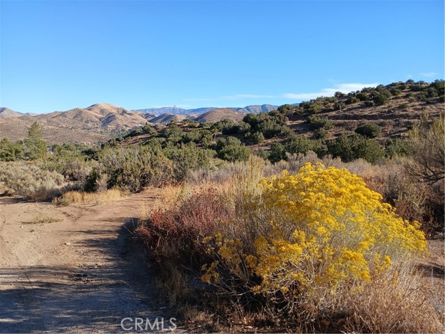 MLS #SR25263699 image #5