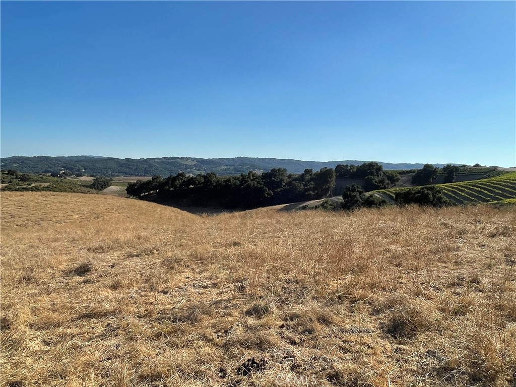 MLS #SC25266385 image #3