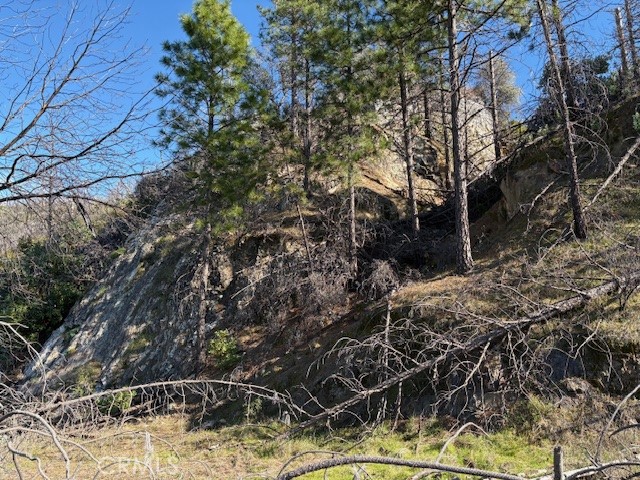 Detail Gallery Image 8 of 34 For 8870 Oro Quincy, Berry Creek,  CA 95916 - – Beds | – Baths